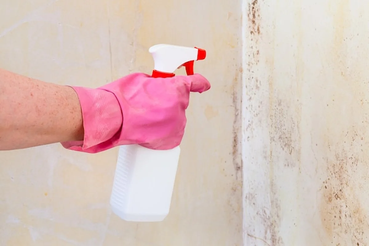 Jak usunąć starą fugę? Sprawdź wymianę fugi krok po kroku!